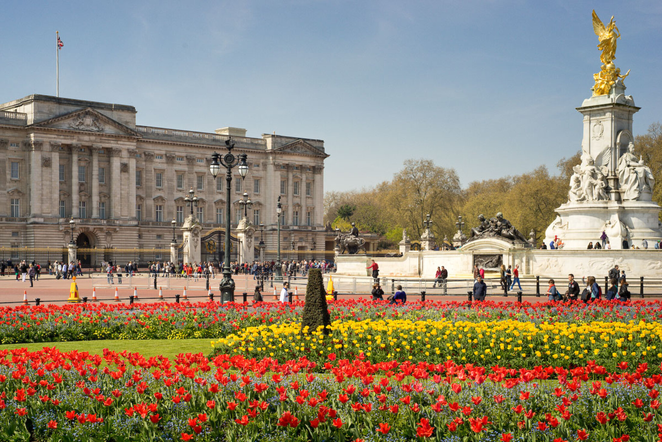 Buckingham Palace flower beds