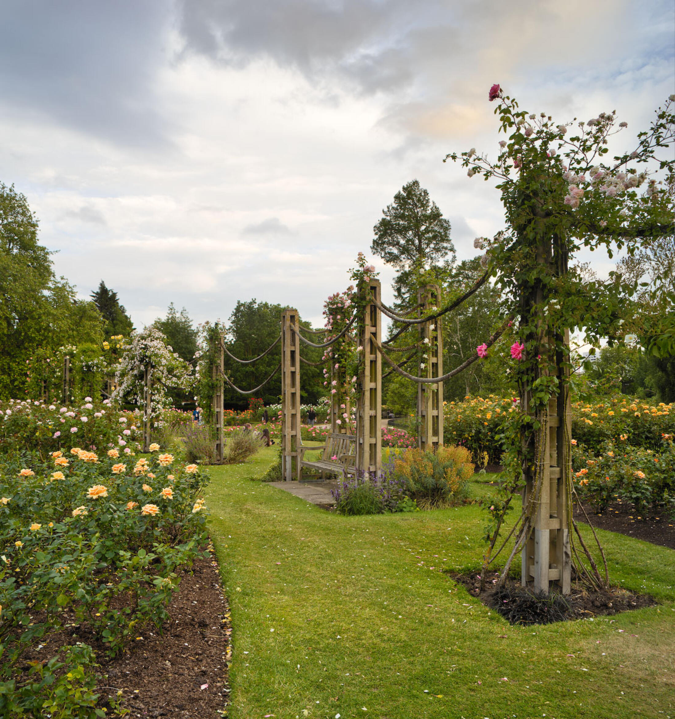 Queen Mary's garden