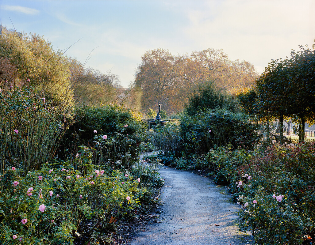 Pathway in the Hyde Park Rose Garden