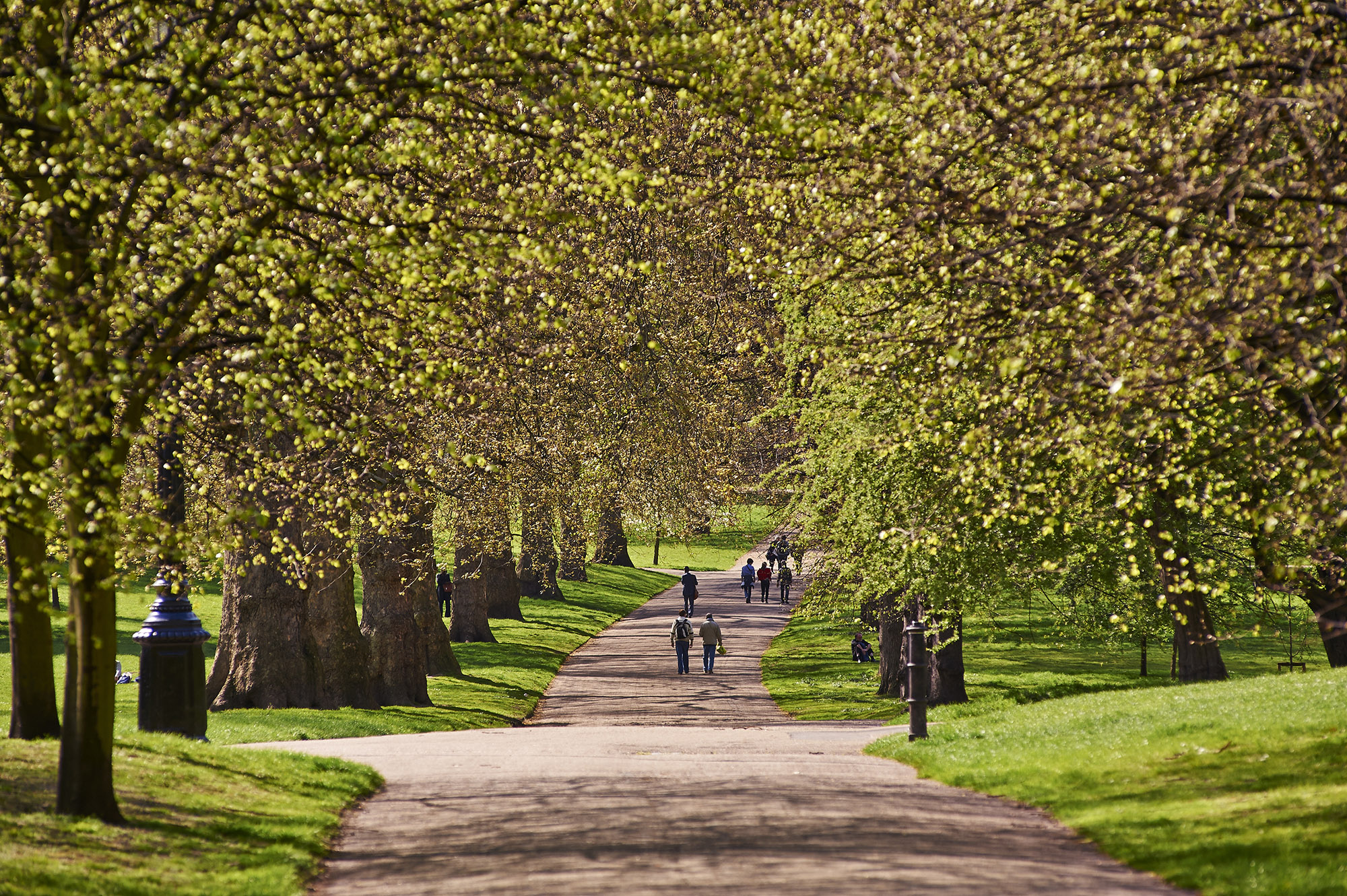Broad walk in The Green Park