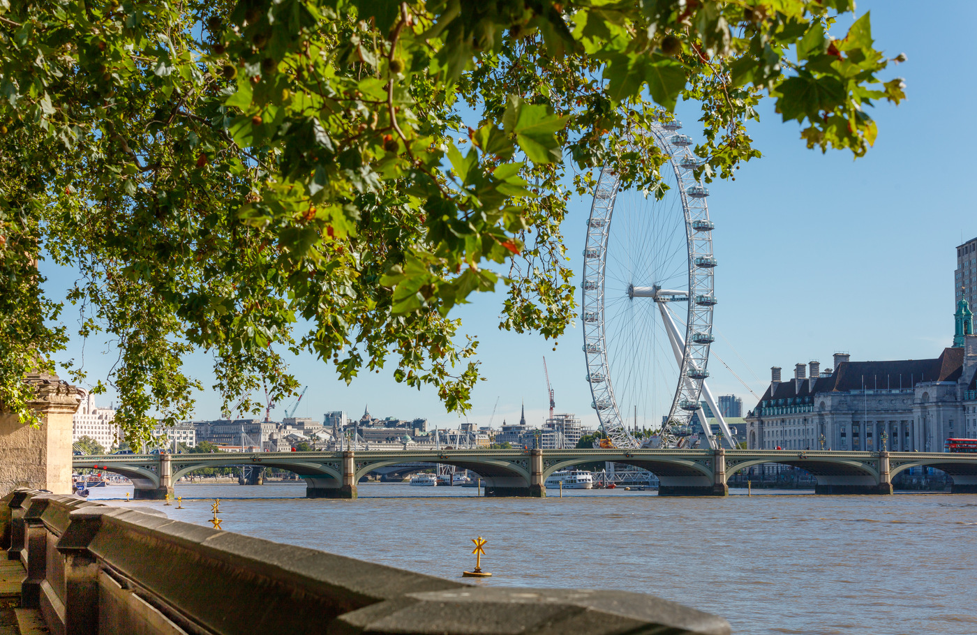 Iconic views of the Thames from Victoria Tower Gardens