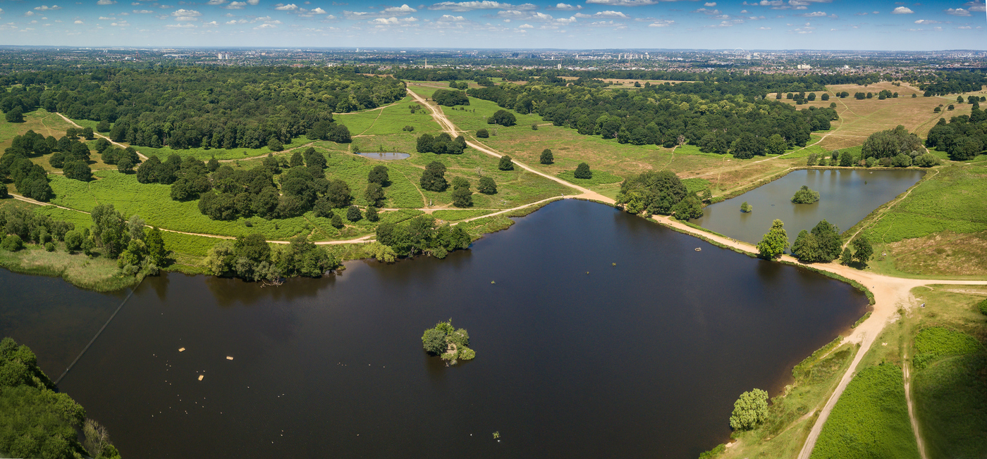 Pond Plantation and Pen Ponds aerial view