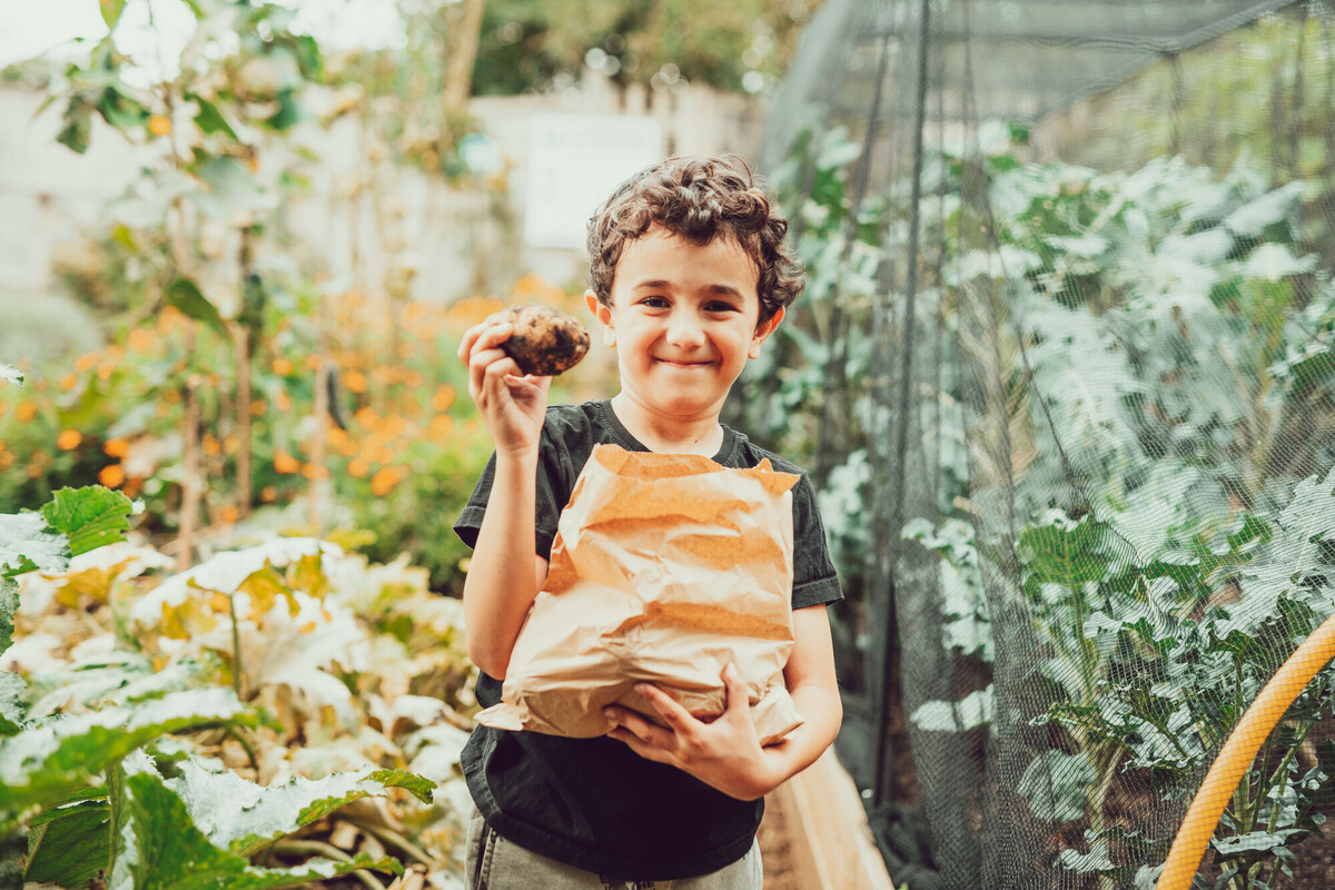 Harvest festival at Kensington Gardens allotment 