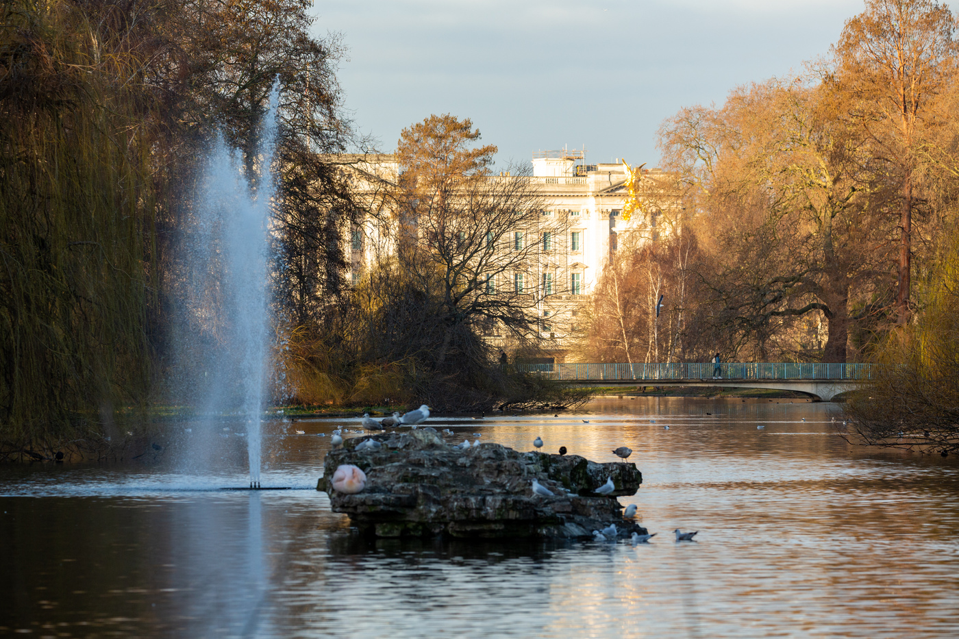 Duck Island