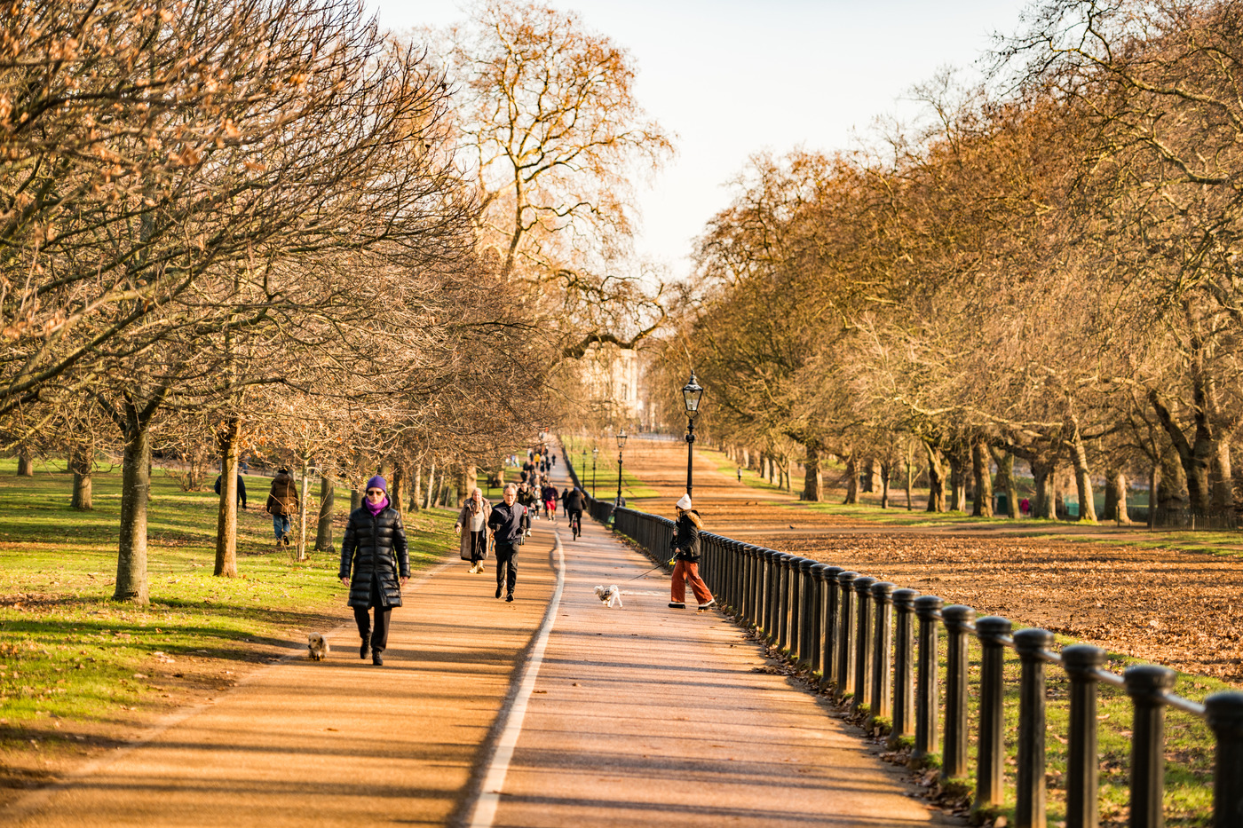 Walking & cycling path by the Rotten Row in Hyde Park