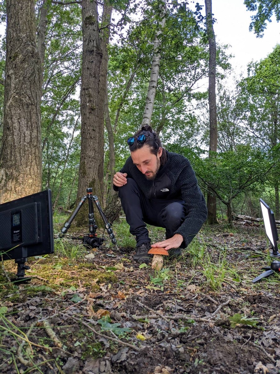 Man in forest taking picture of large mushroom with professional lighting equipment around him