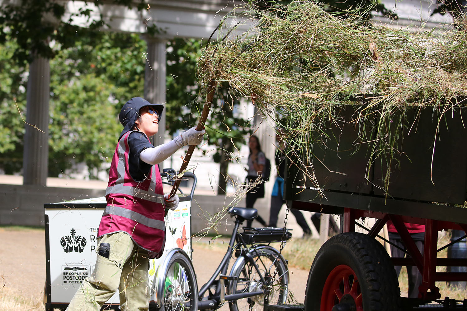 A volunteer puts hay into a horse-drawn cart