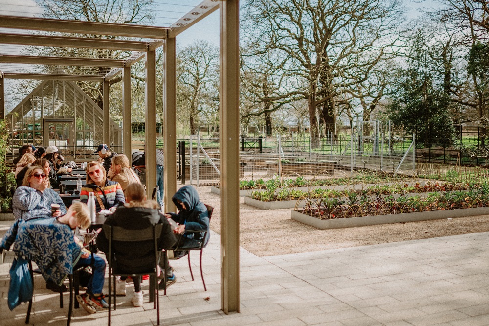 A view of the seating and kitchen garden outside of the Ignatius Sancho Cafe in Greenwich Park