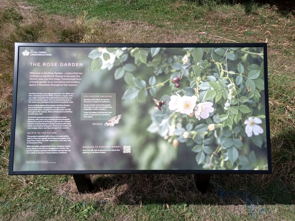 A birds eye view fo a new information board about the Rose Garden in Greenwich Park.