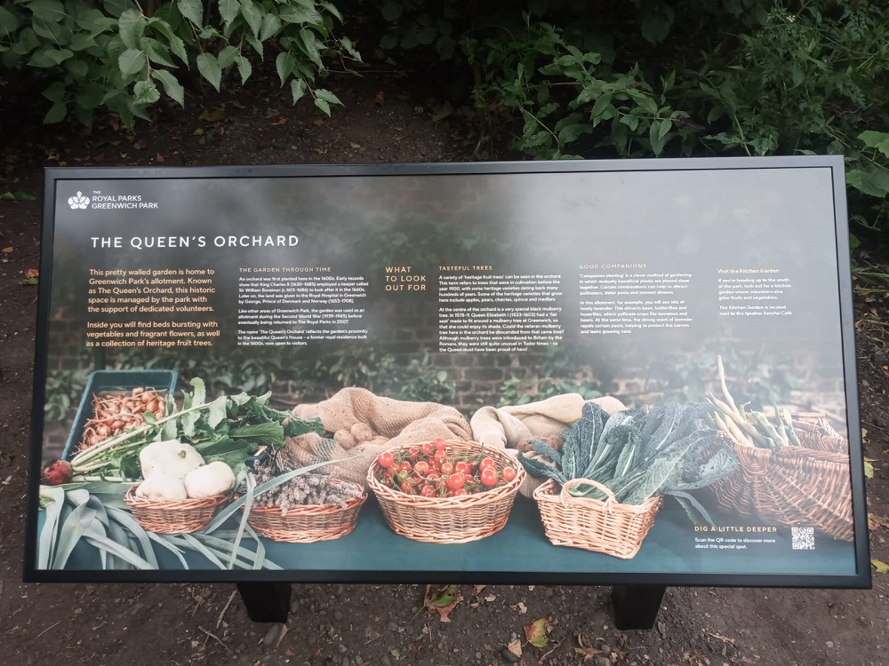 A birds eye view fo a new information board about the Orchard in Greenwich Park.