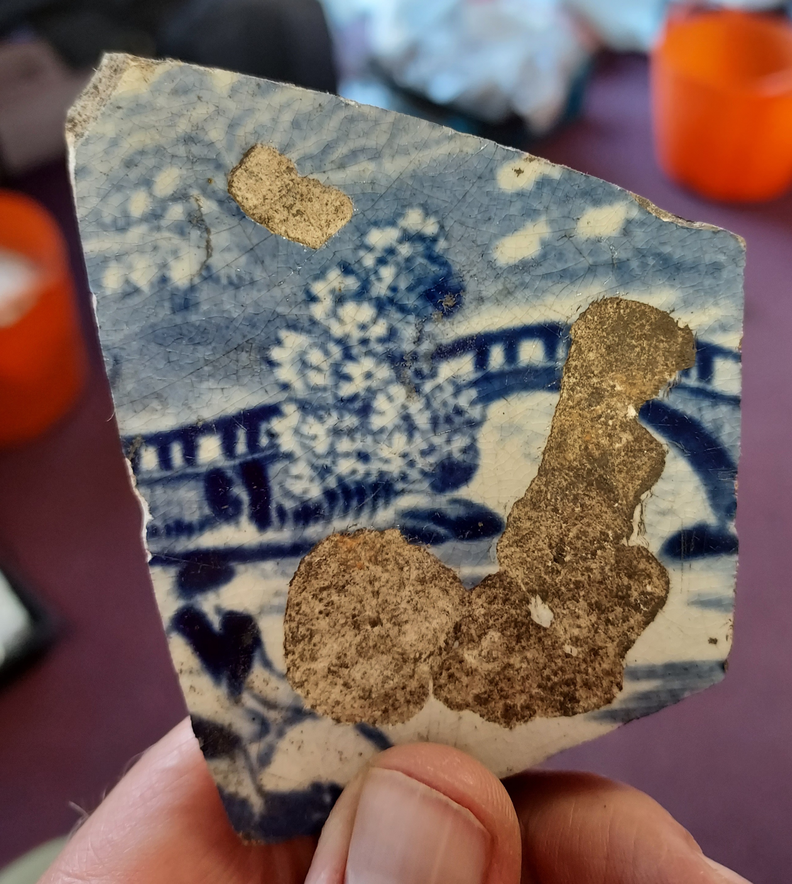 A find from the dig at the Keeper's Cottage - a fragment of china with a blue and white tree pattern