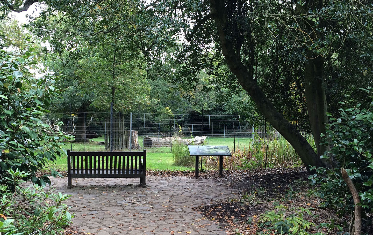 Seating and information by a deer enclosure