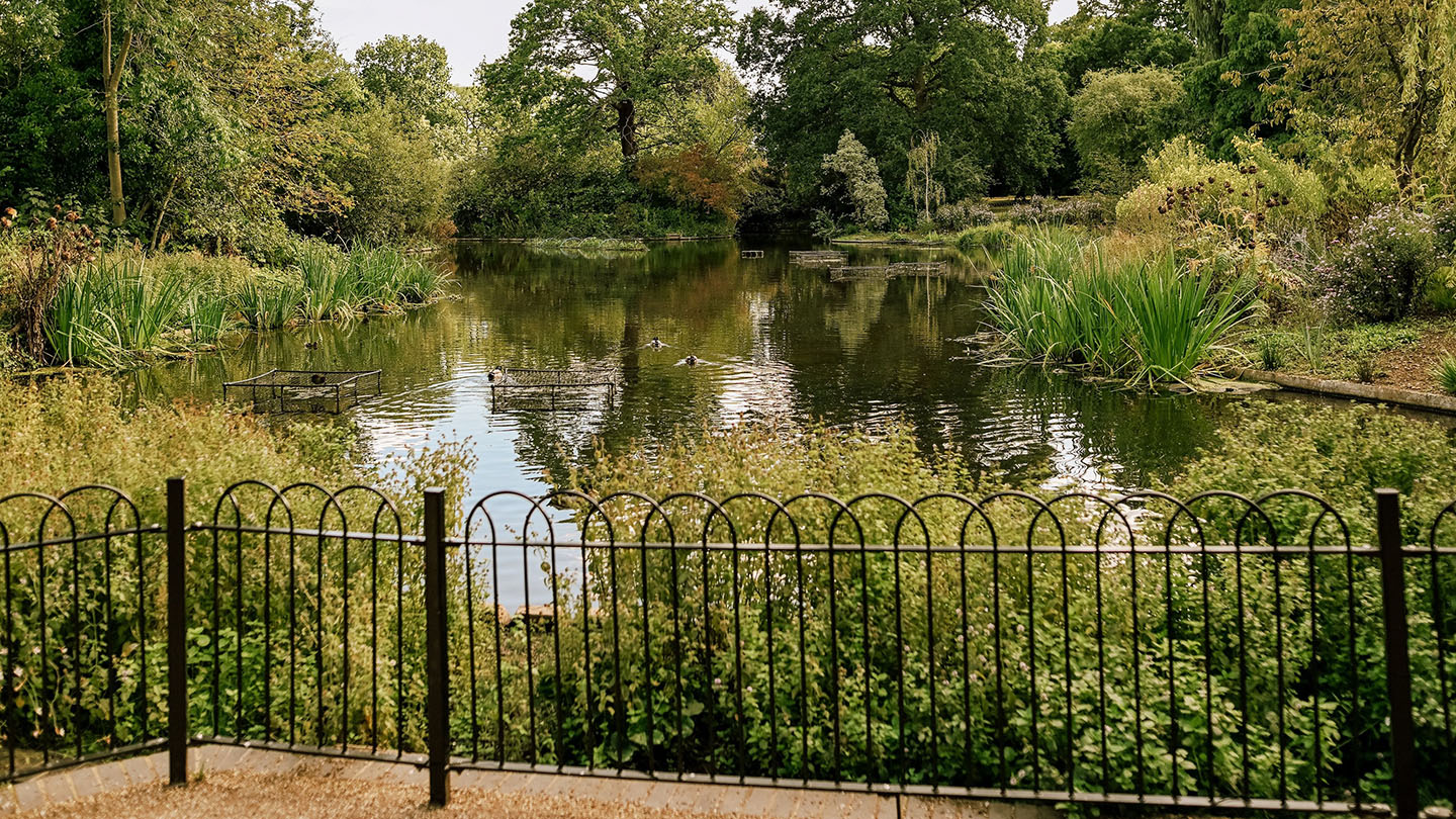 View over the lake in the Greenwich Park Flower Garden