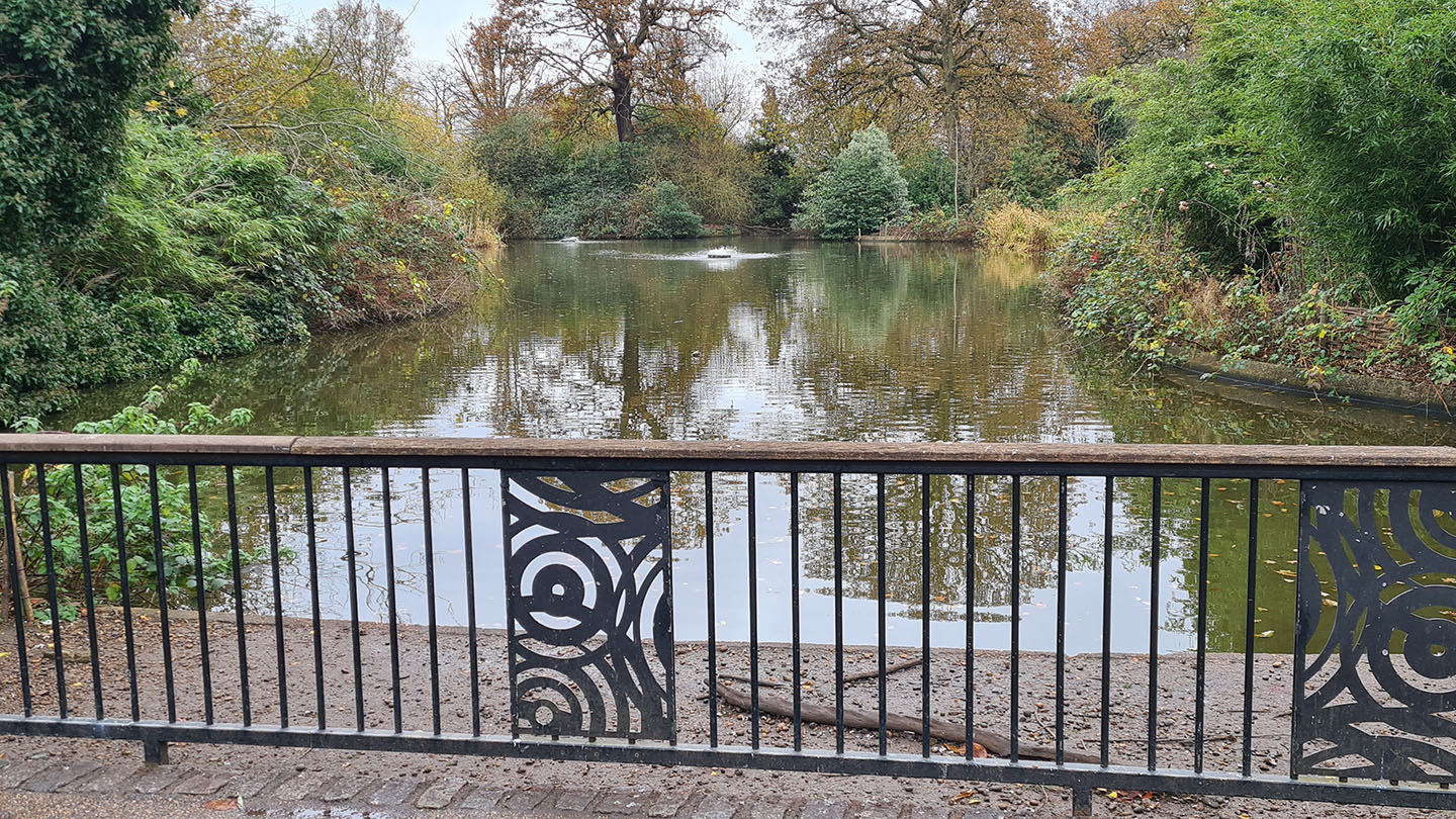 View over the lake in the Greenwich Park Flower Garden