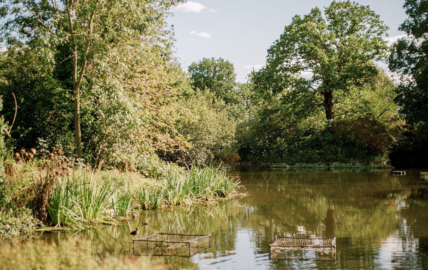 The Flower Garden lake following improvement work