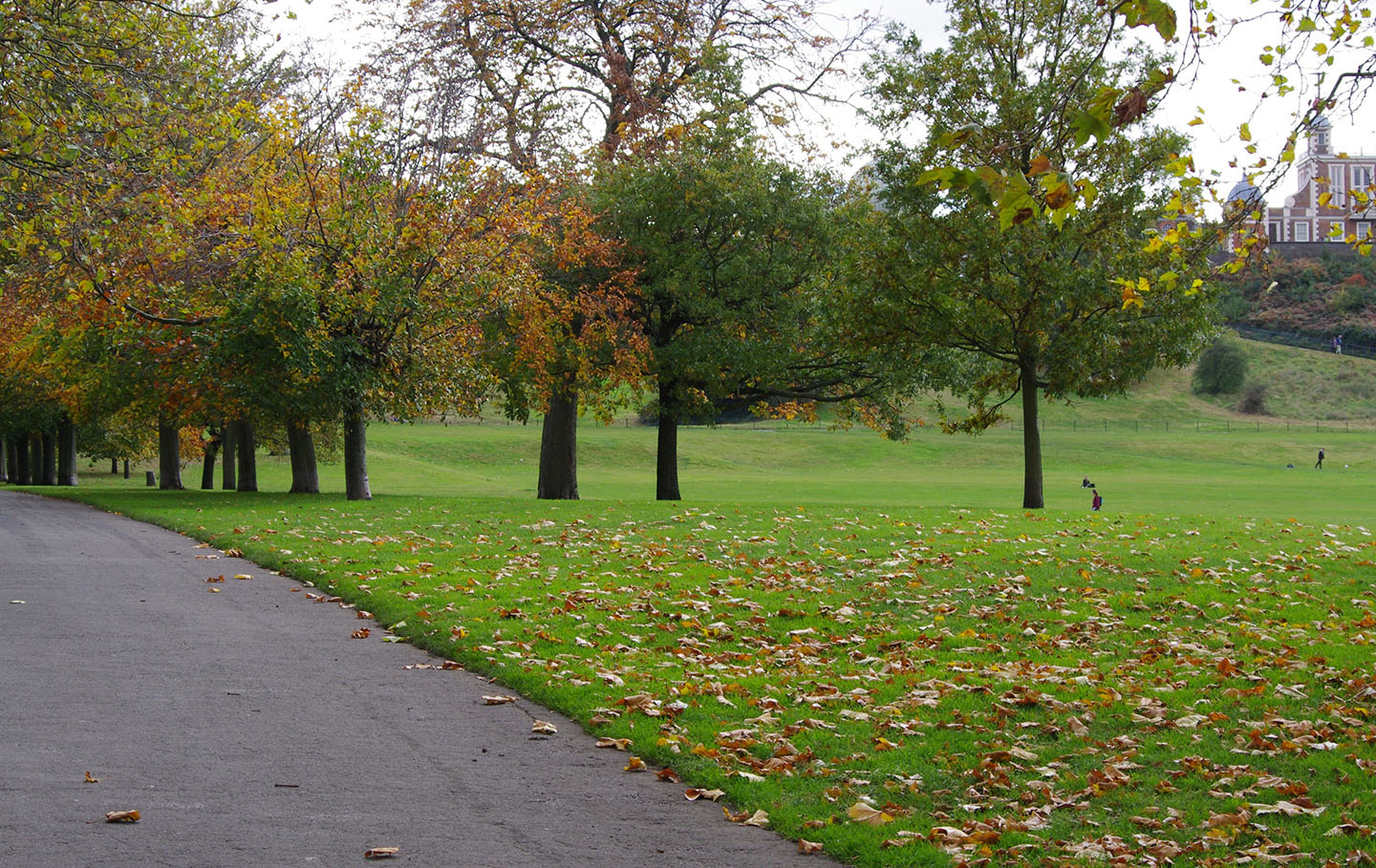 Trees along the eastern parterre