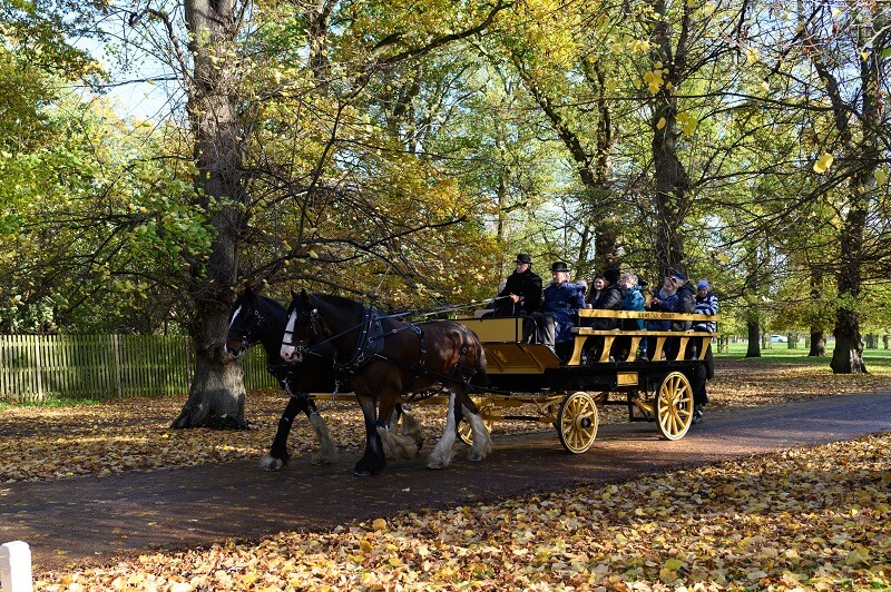 Man riding a horse drawn carriage through a park.