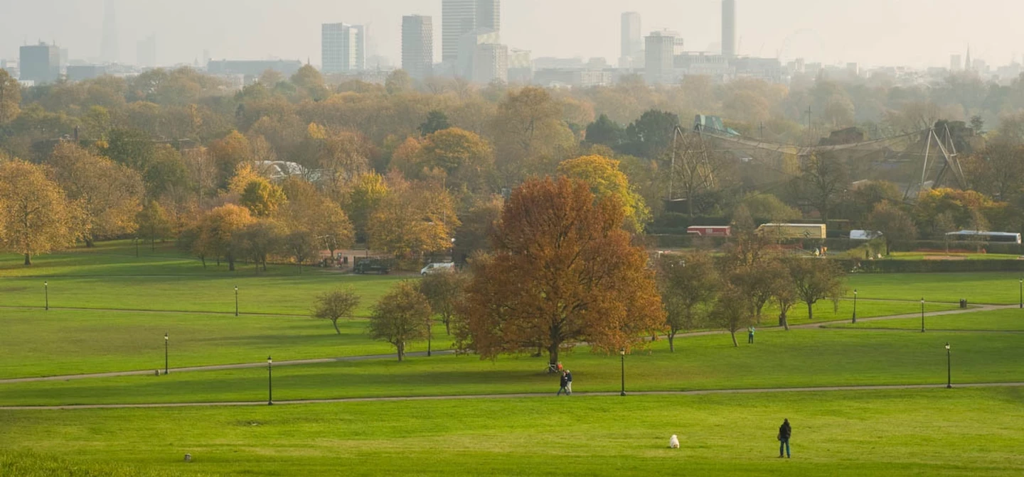 View from the top of Primrose Hill