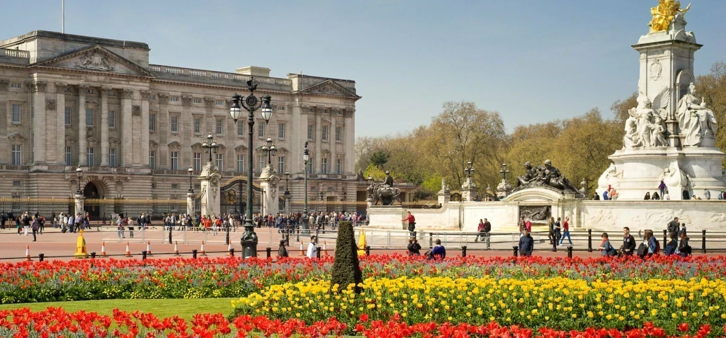 Buckingham Palace flower beds