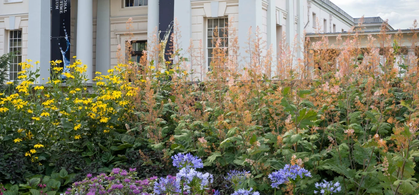 Herbaceous border