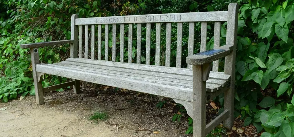 'Reasond to be cheerful' Ian Dury bench