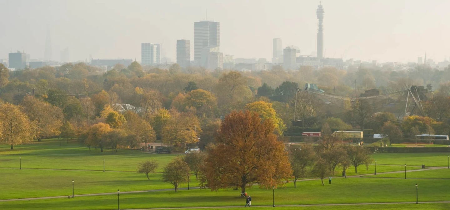 Primrose Hill Café in The Regent's Park & Primrose Hill