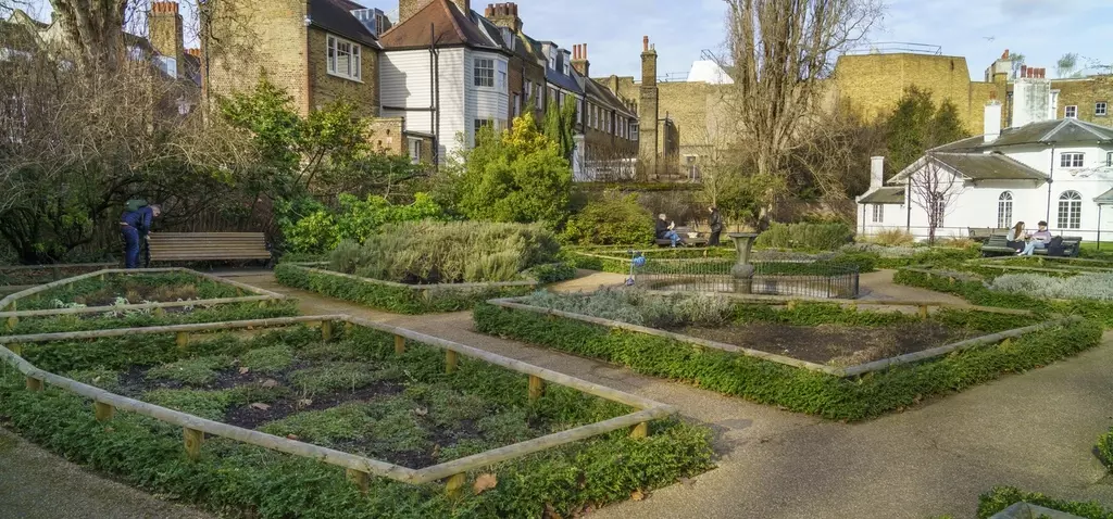 The herb garden