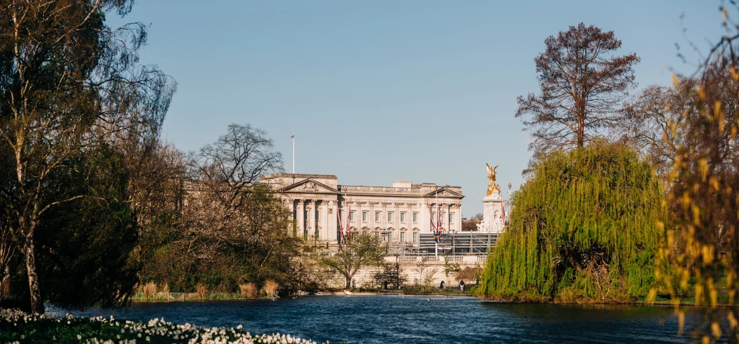 Landscape view of Buckingham Palace from within St James's Park