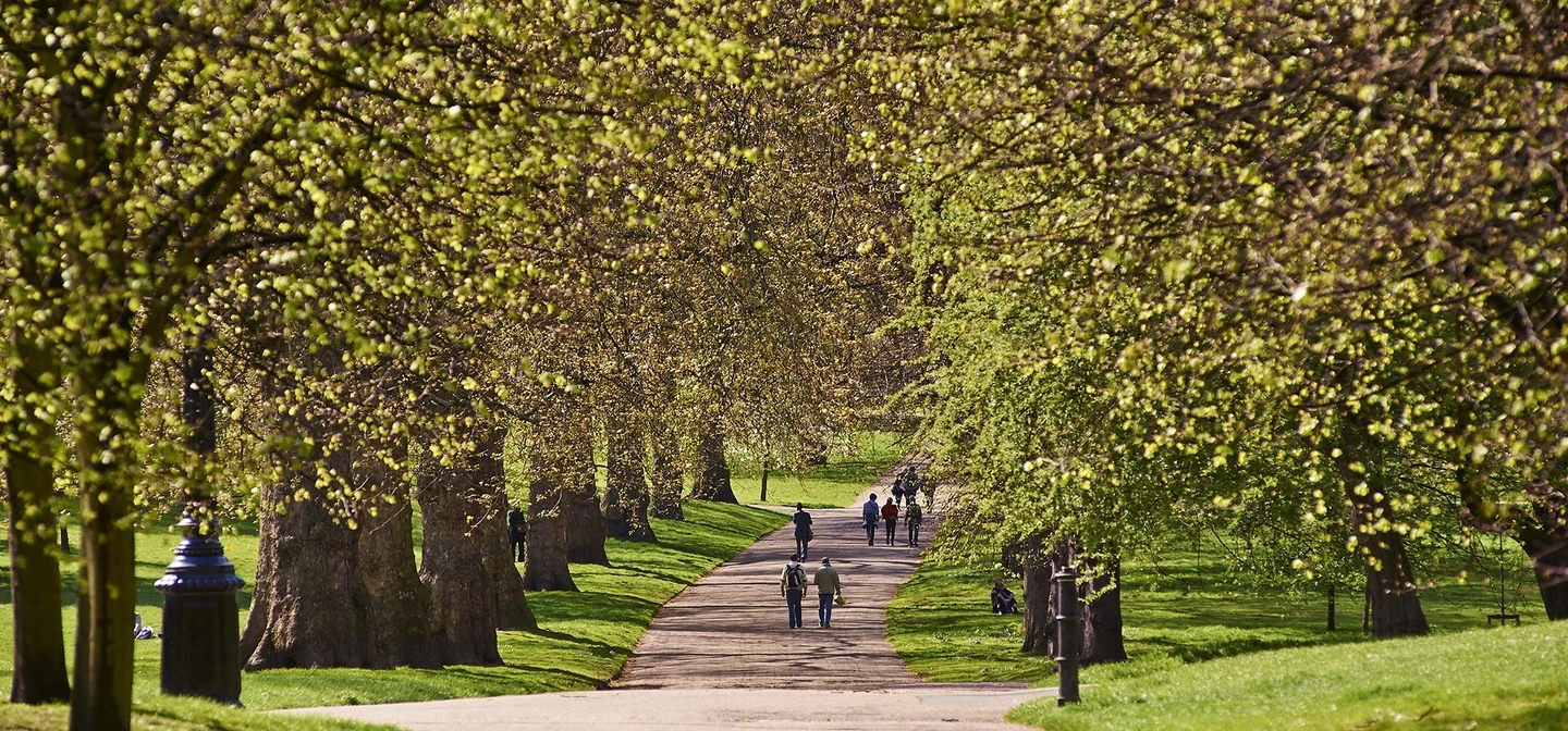 Broad walk in The Green Park