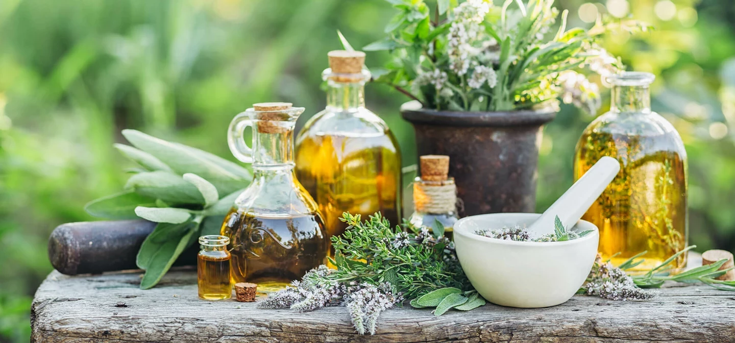 Assorted plants in bottles, pots and a pestle and mortar