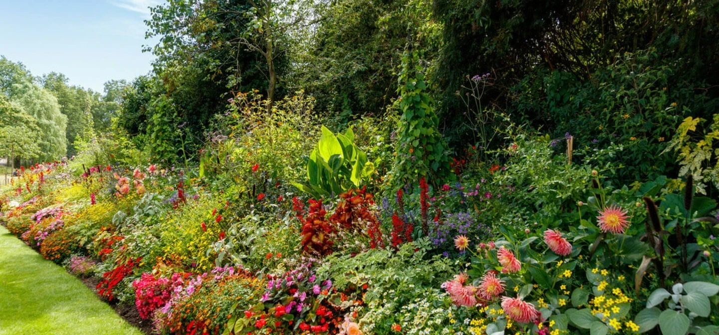 Summer bedding in St. James's Park
