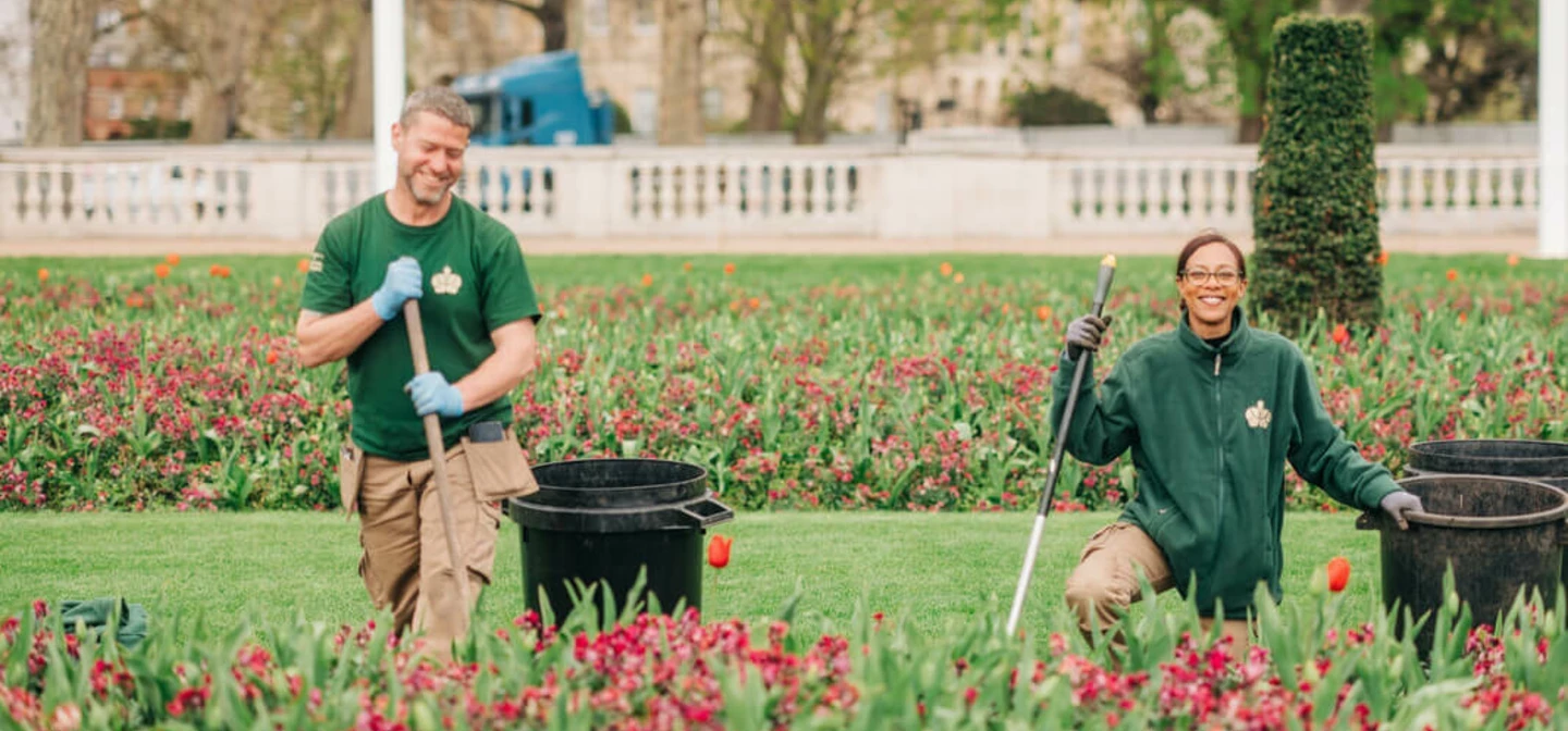 Royal Parks staff working on the Buckingham Palace flower beds