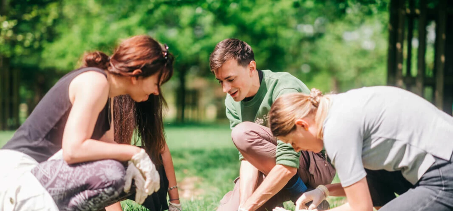 People looking at dung beetles