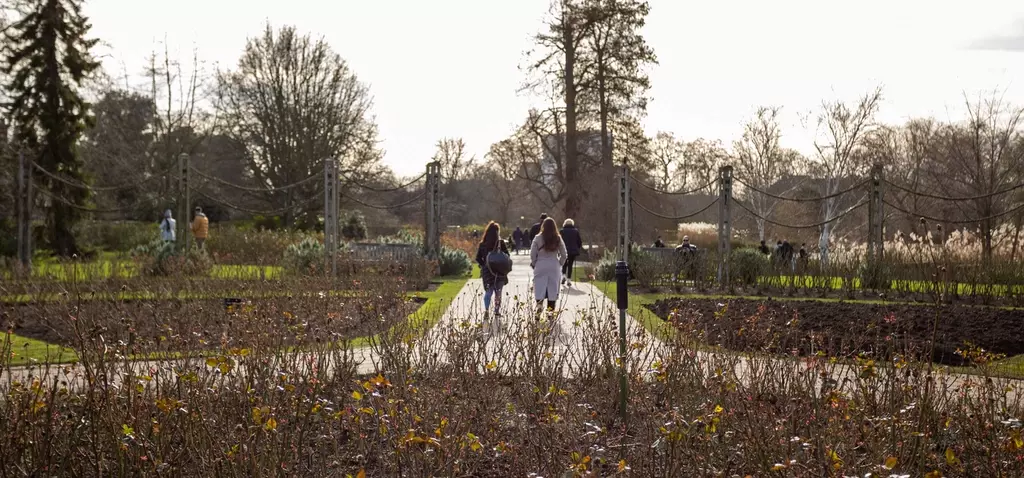 Queen Mary's garden