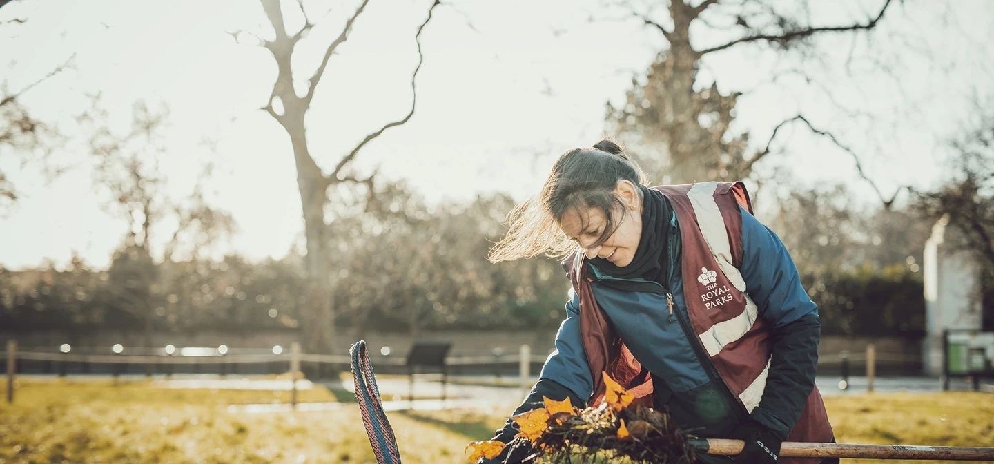 Volunteer litter picking in the Royal Parks