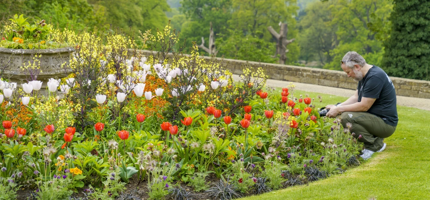 A crouched man taking a photograph of a flowerbed 