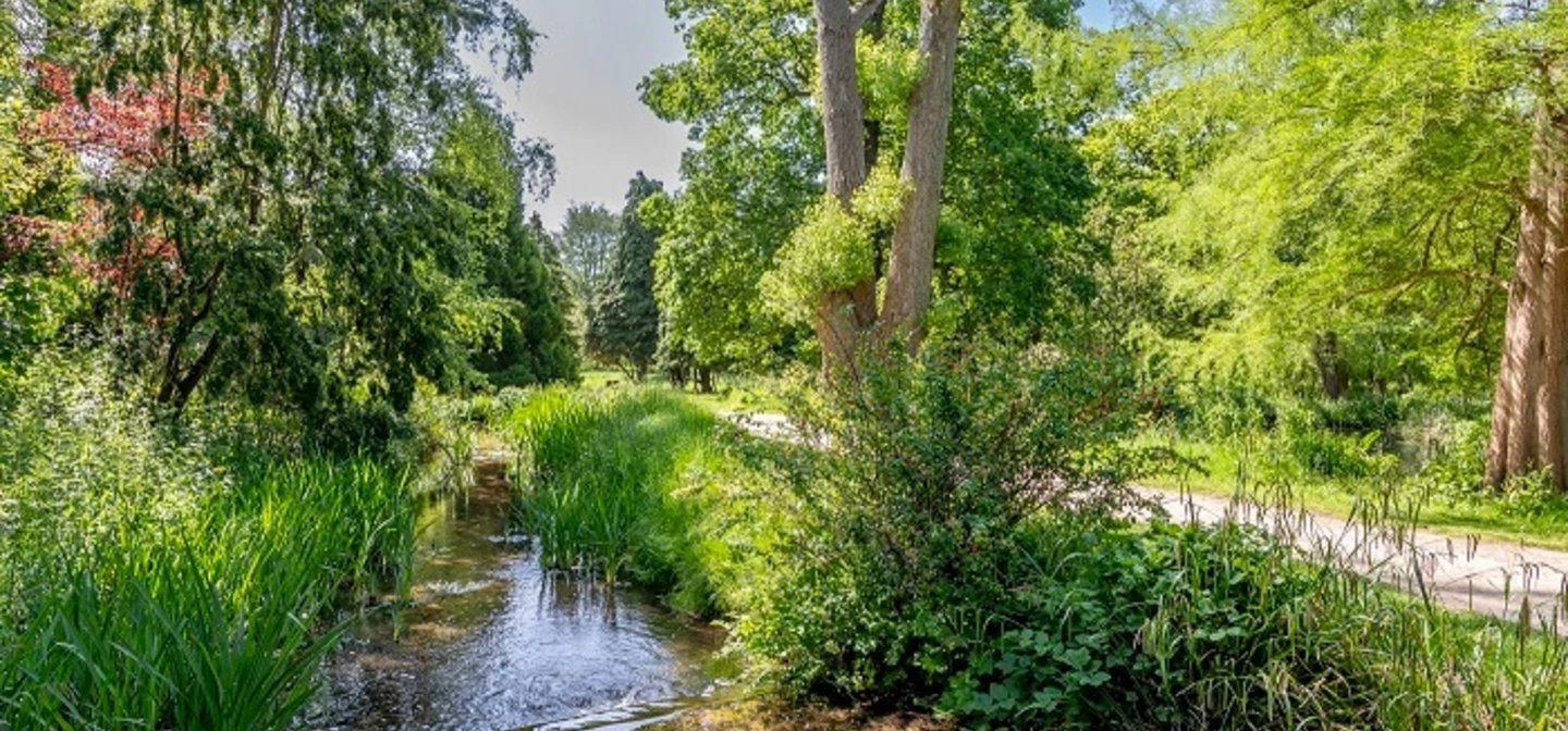 Waterhouse Woodland Gardens in spring