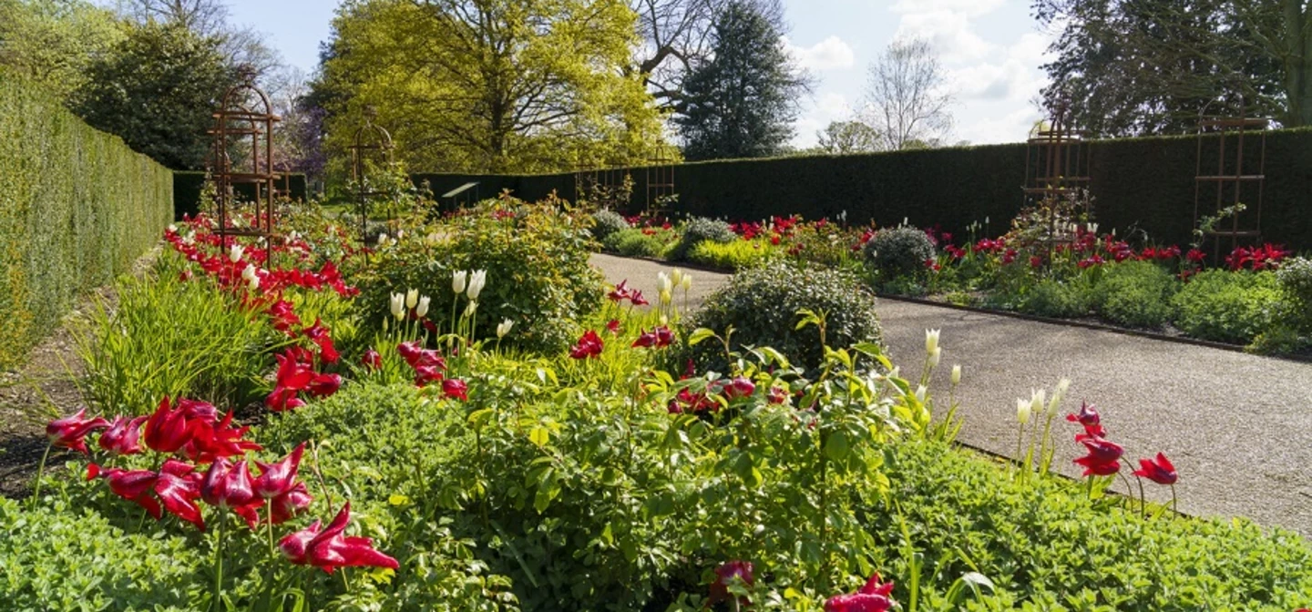 The Rose Garden in spring