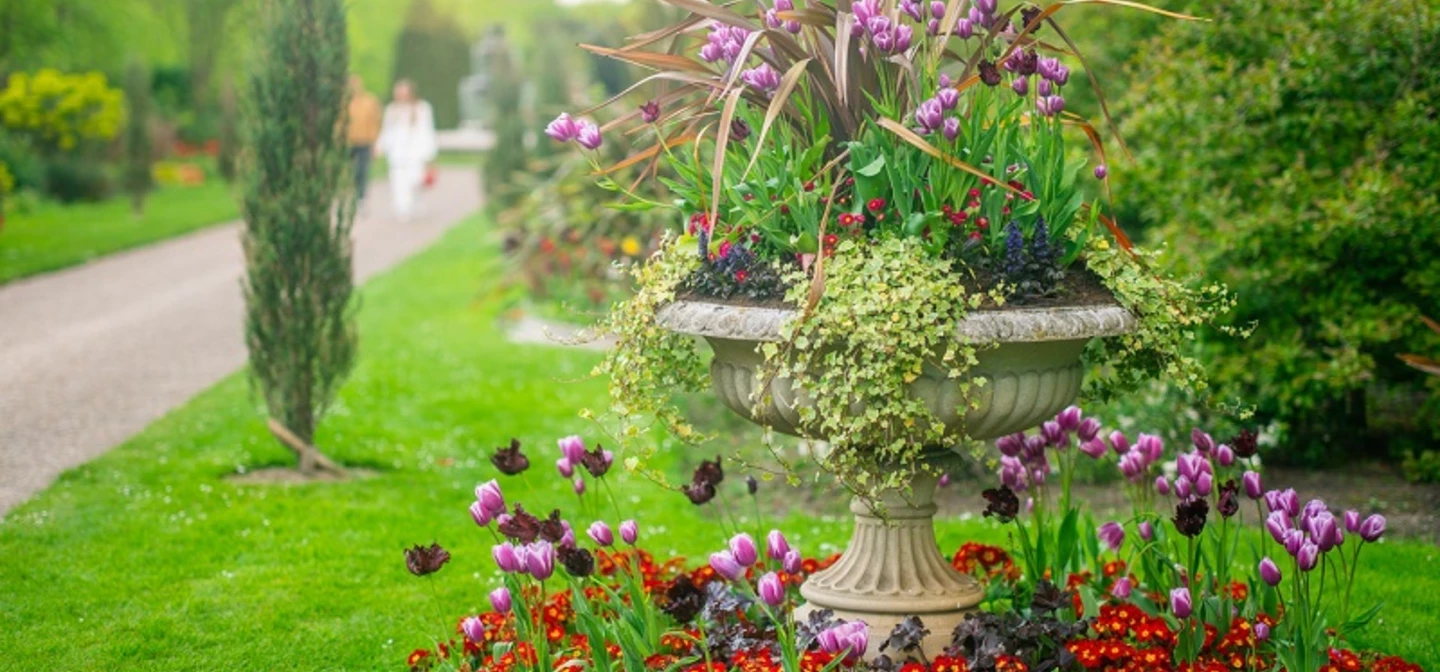 The Avenue Gardens in The Regent's Park & Primrose Hill