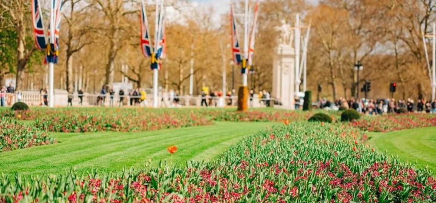 Flower beds in front of Buckingham Palace in spring