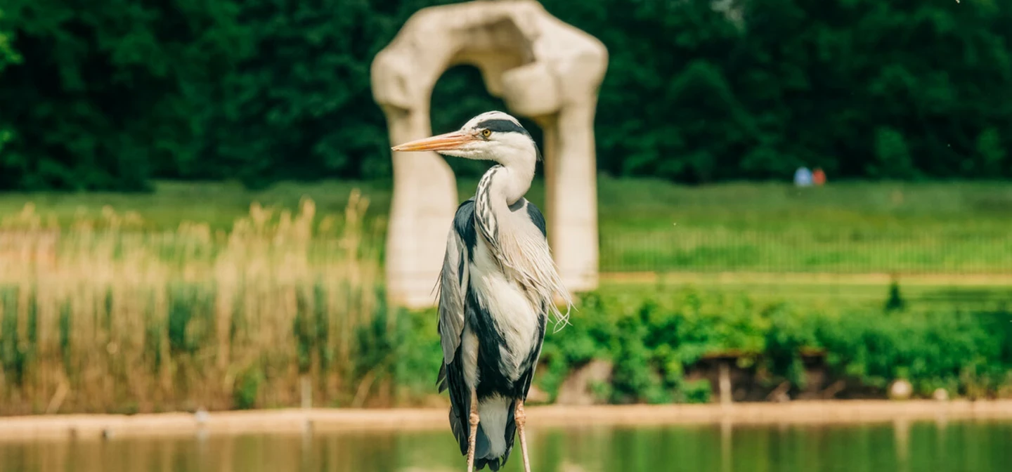 A heron, in front of a stone arch