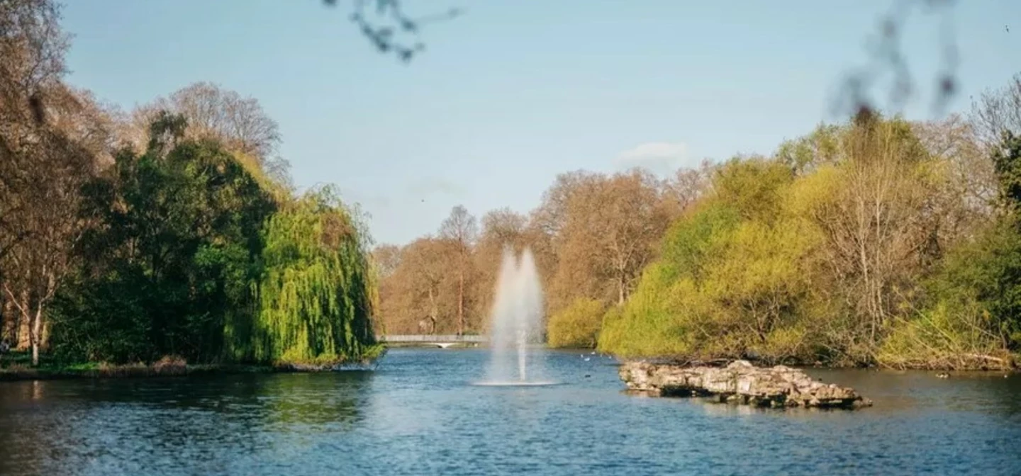 Trees of St. James's Park Walking Tour 