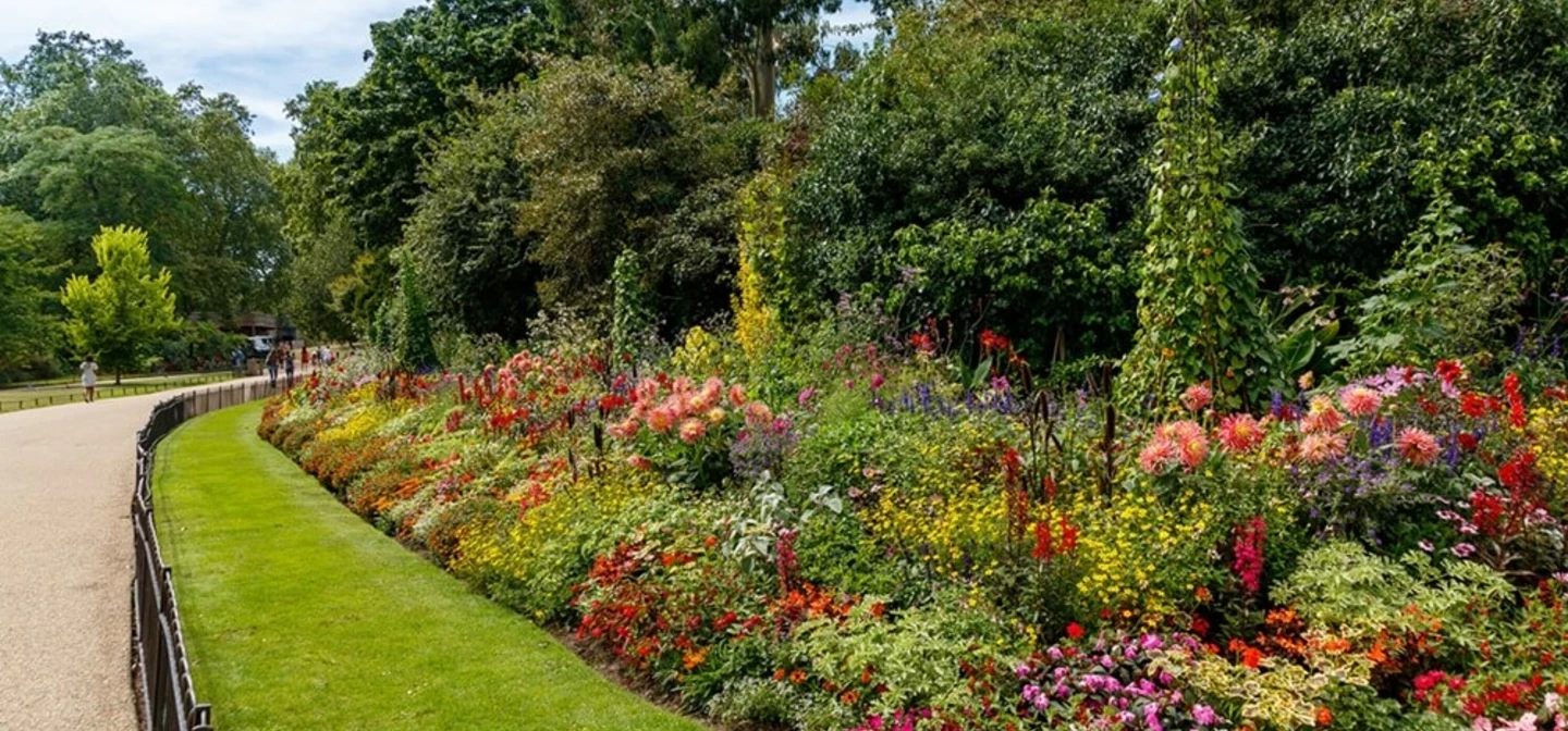 Summer flower beds in St. James's Park