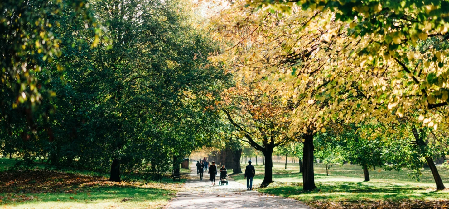 People walking in Hyde Park in autumn