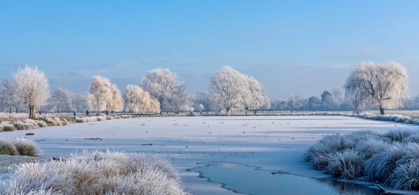 Landscape image of a park with a lake frozen over. 