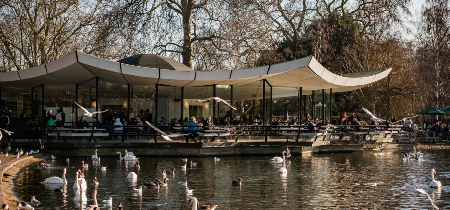 Waterfowl on the Serpentine outside Serpentine Bar and Kitchen in Hyde Park