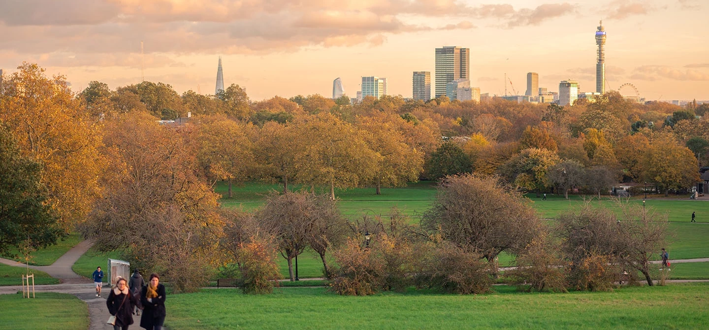 Primrose Hill under autumn skies