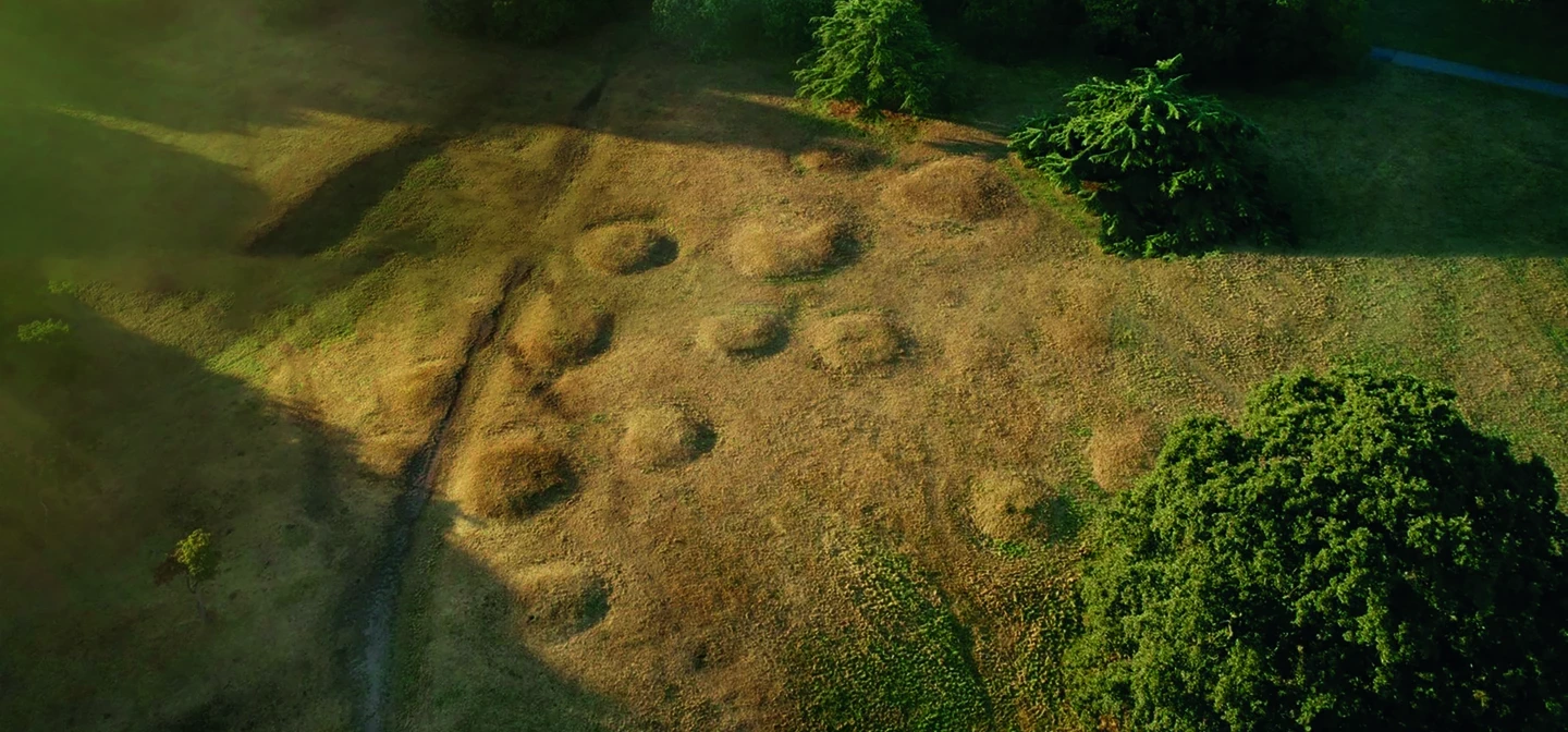 An aerial photograph of the barrow cemetery at Greenwich Park - it shows the raised circular barrows in the landscape