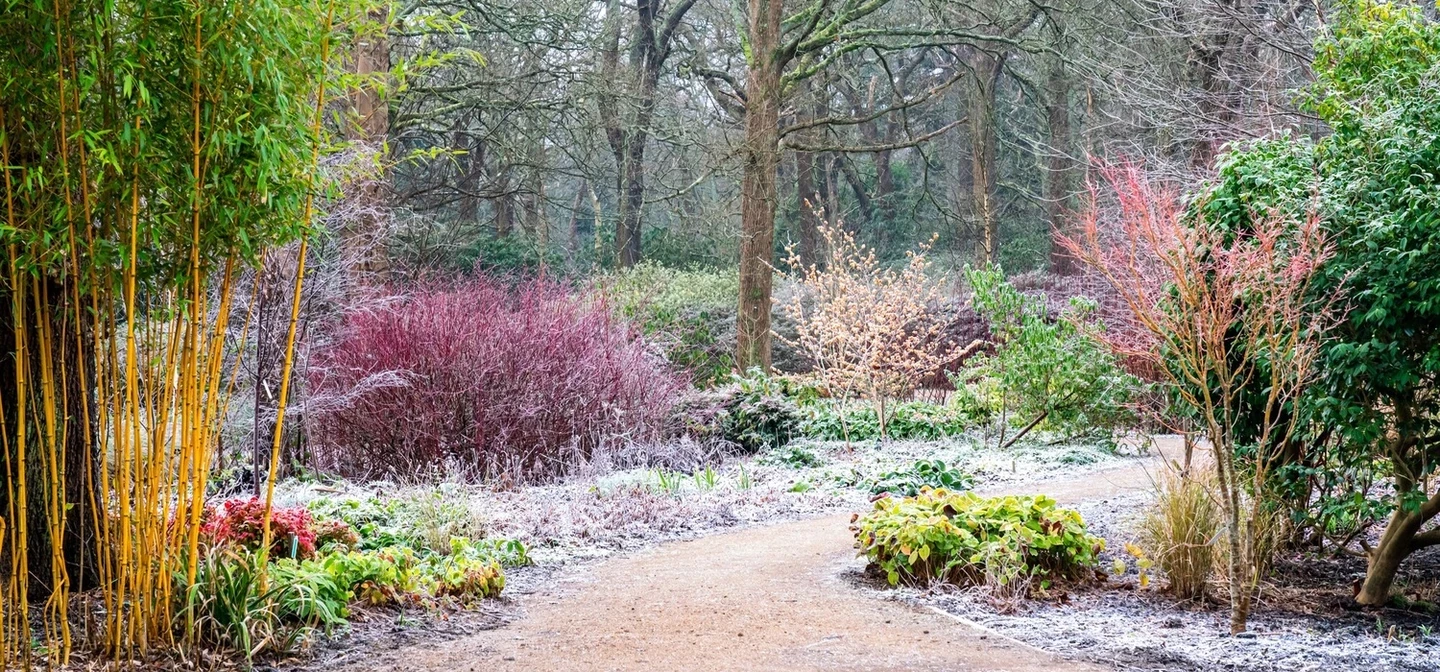 Richmond Park Garden in Winter