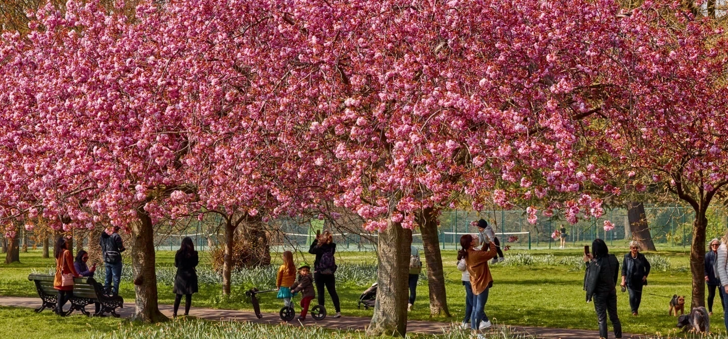 Greenwich spring hero